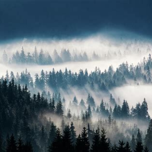 Meet your Poshers! - Picture 1 of 1